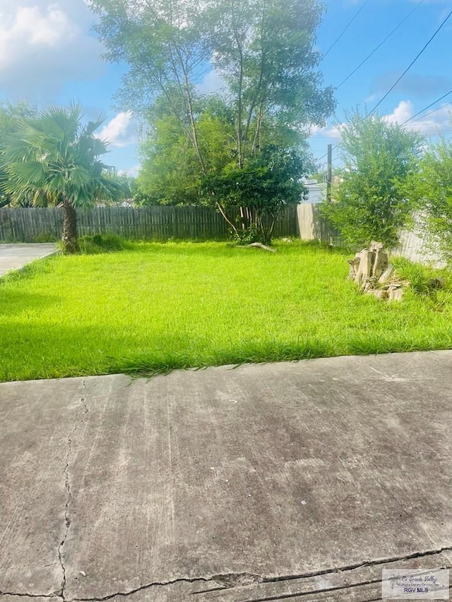 144 N St, Brownsville, TX 78521 - view of yard