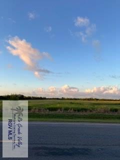 Listing photo 3 for 000 Bingley Rd, Los Fresnos TX 78566