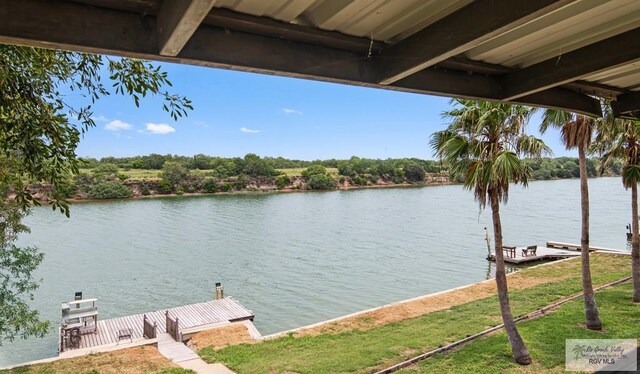 32863 Fm 2925, Rio Hondo, TX 78583 - photo 39