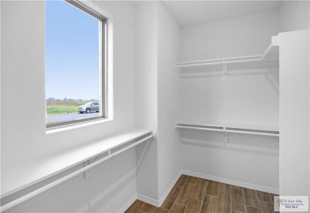 walk in closet featuring dark wood-type flooring