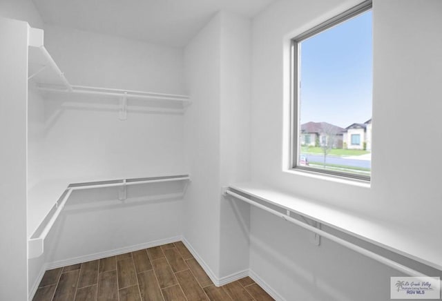 walk in closet featuring dark wood-type flooring