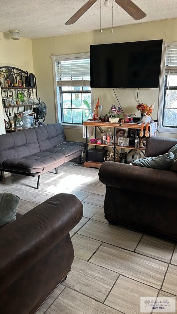 460 E Hicks St, San Benito, TX 78586 - living room with plenty of natural light, wood-type flooring, and a textured ceiling