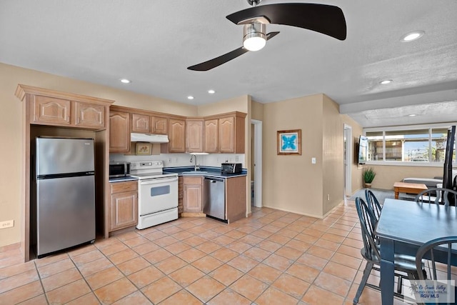 131 Windward Dr, Port Isabel, TX 78578 - kitchen featuring stainless steel appliances, recessed lighting, under cabinet range hood, light brown cabinetry, and a ceiling fan