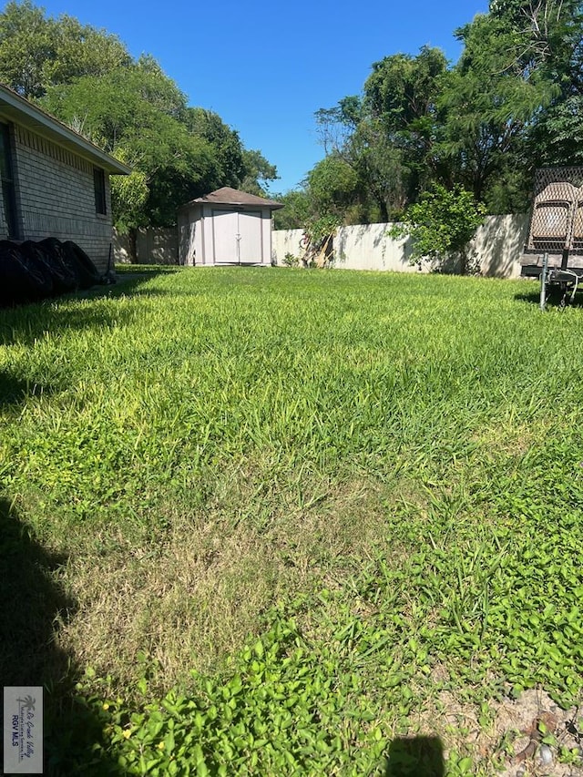 view of yard with a shed