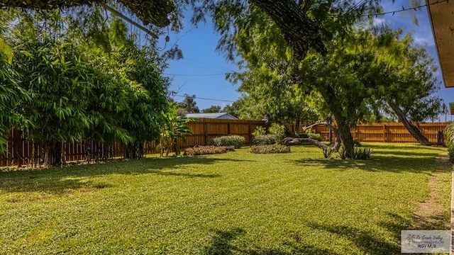 441 Roberto Garza Jr Dr, Rio Hondo, TX 78583 - photo 5