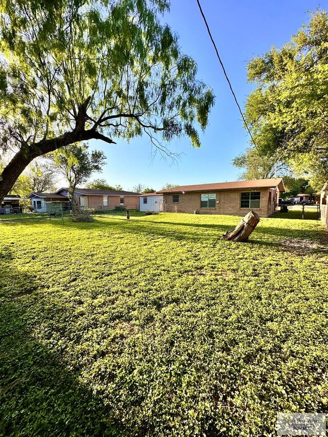 697 W White Ave, Raymondville, TX 78580 - view of yard