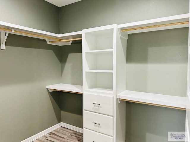 walk in closet with hardwood / wood-style flooring