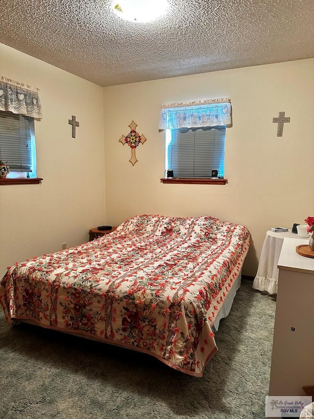 carpeted bedroom with a textured ceiling and multiple windows