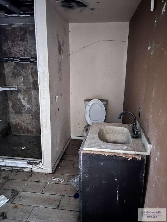 bathroom with vanity, toilet, and walk in shower