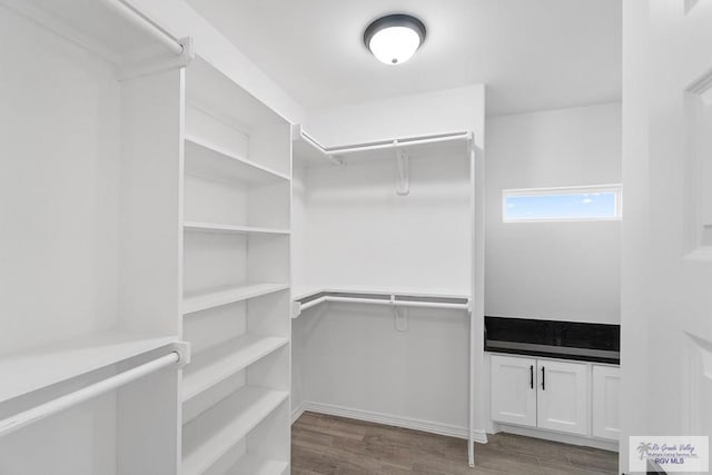 walk in closet featuring dark wood-type flooring