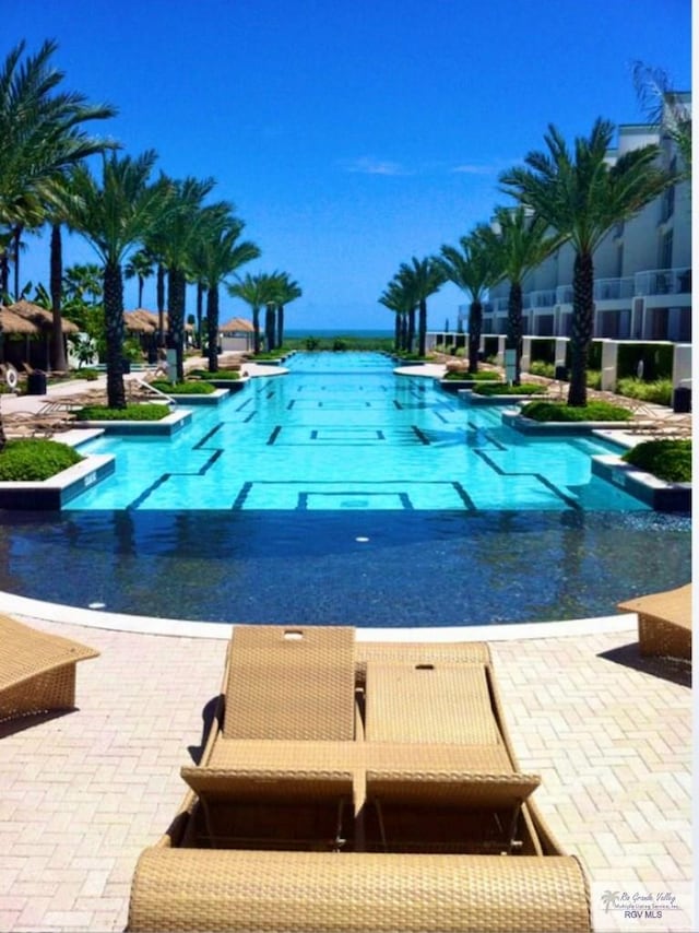 view of swimming pool with a patio area