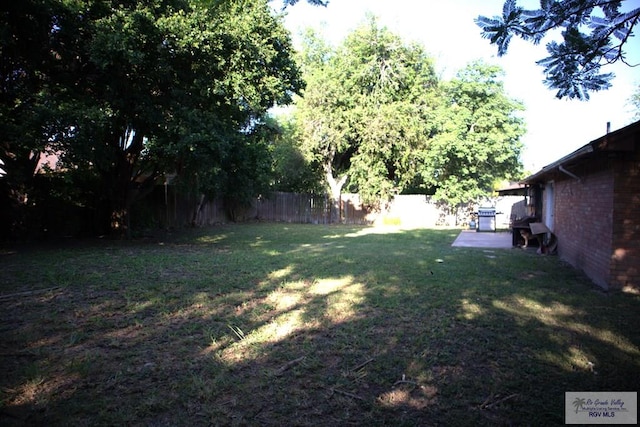 view of yard with a patio