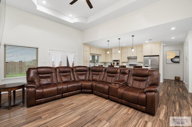 living room featuring a towering ceiling, a healthy amount of sunlight, a raised ceiling, and hardwood / wood-style floors