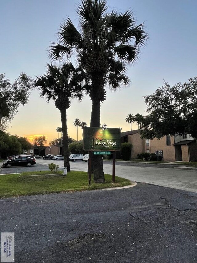 4601 S Carmen Ave Unit 2603, Rancho Viejo, TX 78575 - view of street