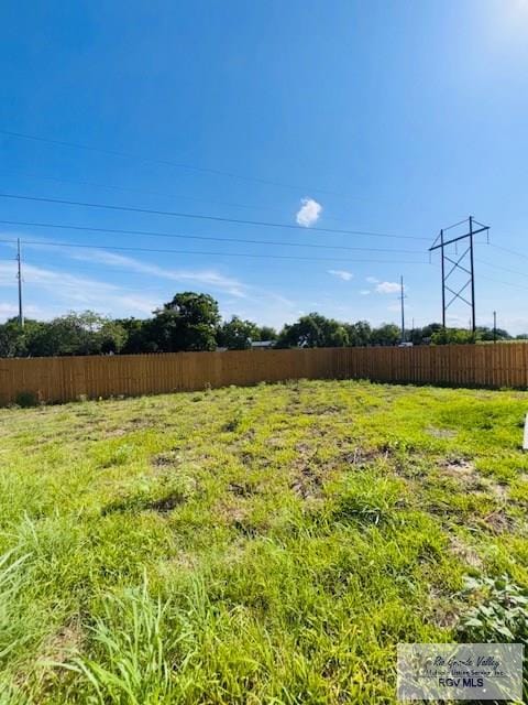 16602 Napper Ln, Primera, TX 78552 - view of yard