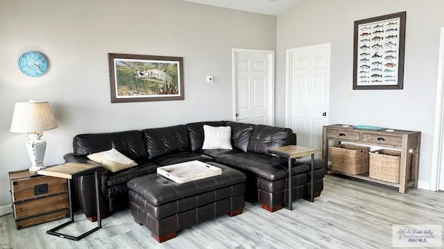 living room featuring light wood-type flooring