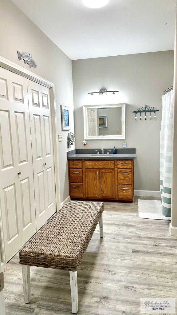 bathroom featuring vanity, hardwood / wood-style flooring, and a shower with curtain