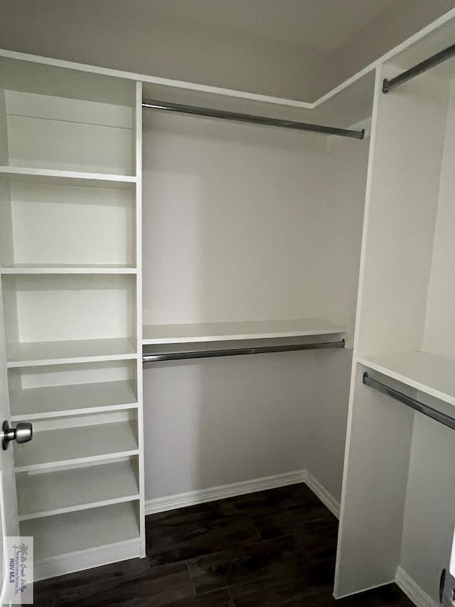 spacious closet featuring dark wood-type flooring