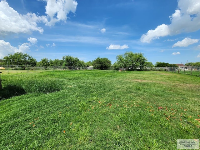 view of yard with a rural view