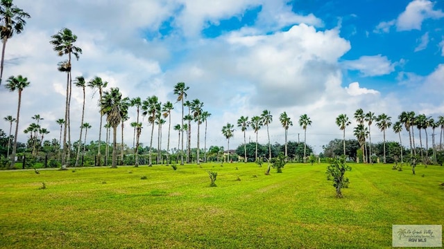 view of home's community with a lawn