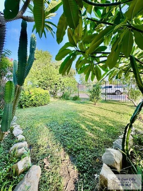 2413 Eastern Blvd, Brownsville, TX 78520 - view of yard