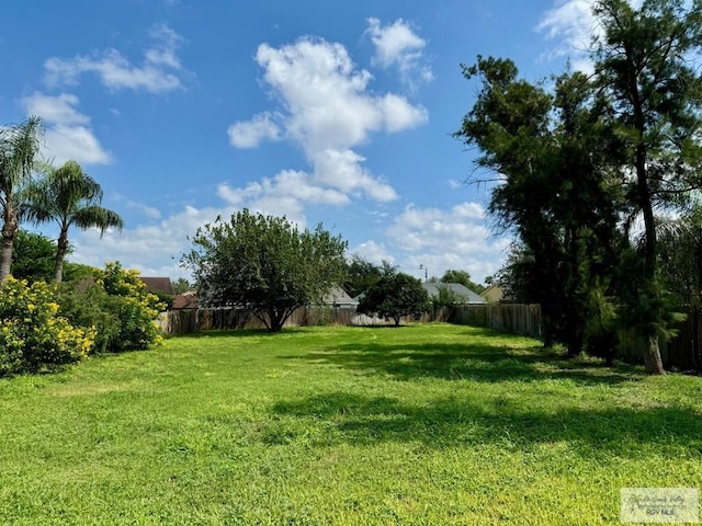 2100 Emory Ave Unit 291, Mcallen, TX 78504 - view of yard