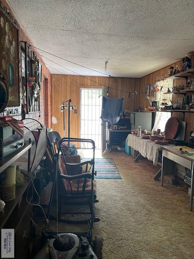103 Alan A Dale St, Brownsville, TX 78521 - interior space with wood walls and a textured ceiling