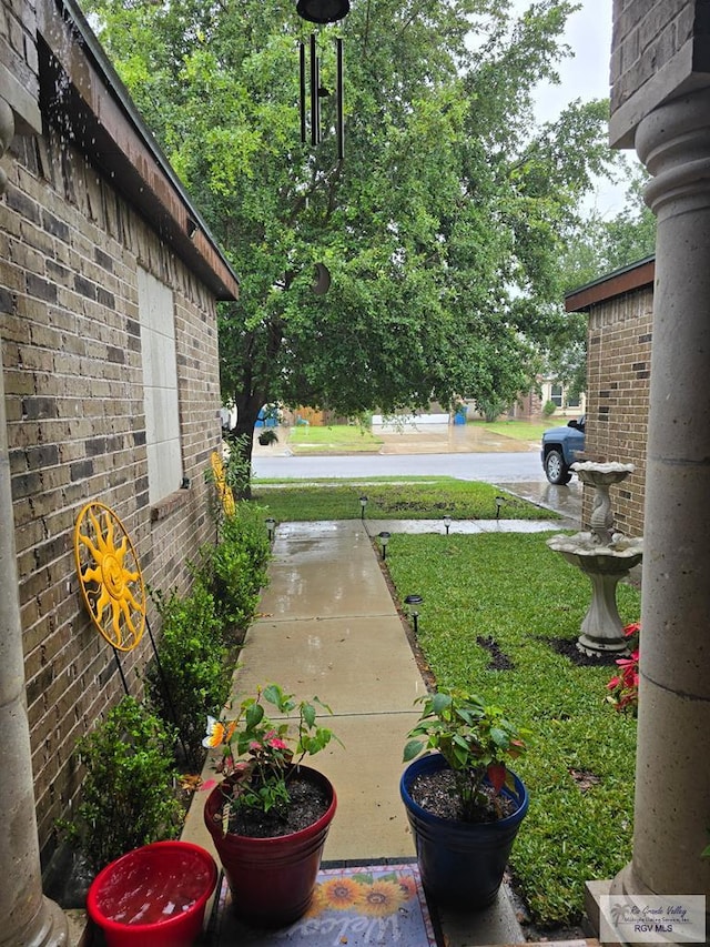 3564 Oviedo Dr, Brownsville, TX 78520 - view of yard