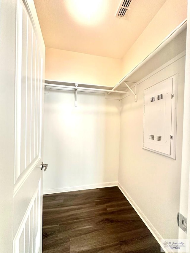 spacious closet featuring dark hardwood / wood-style floors