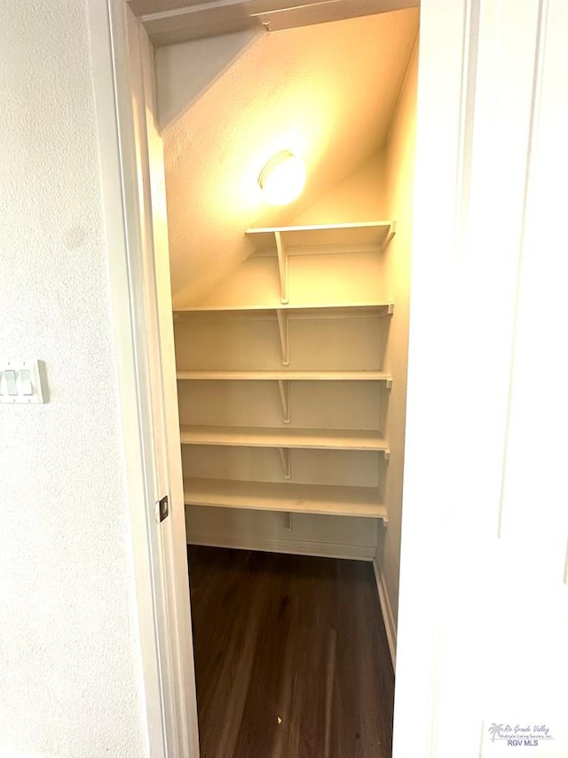 spacious closet with dark wood-type flooring