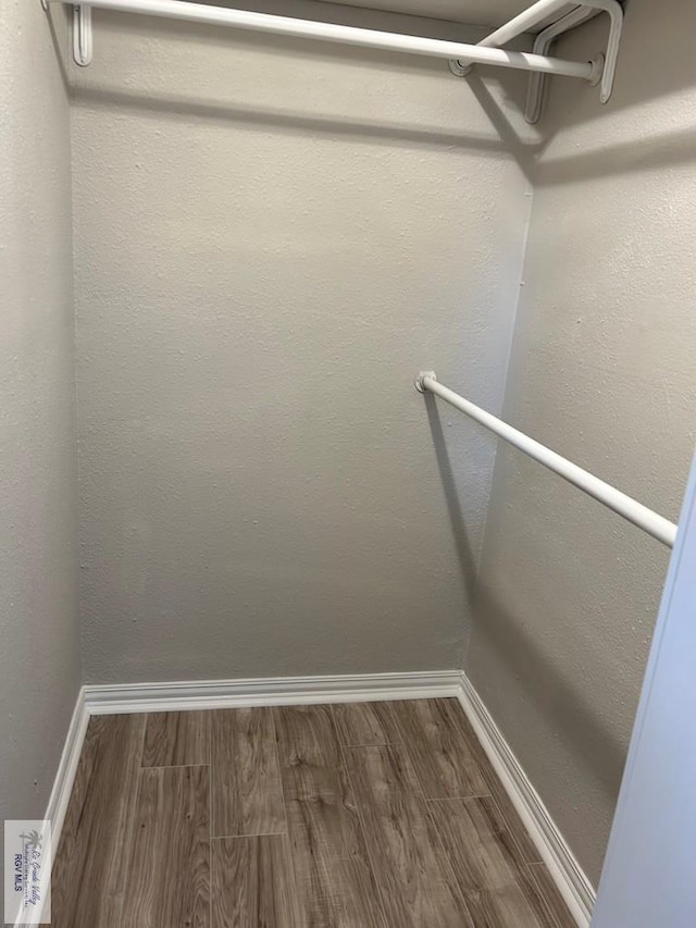 walk in closet featuring wood finished floors