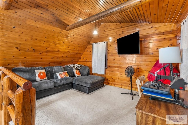 27858 Bixby Rd, La Feria, TX 78559 - living area featuring wooden walls, wooden ceiling, and carpet