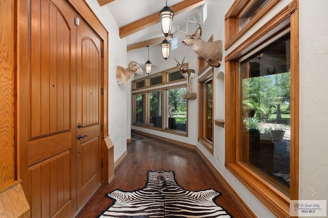 entryway featuring lofted ceiling with beams and dark hardwood / wood-style flooring