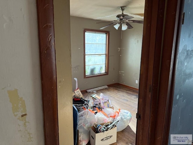 unfurnished room featuring wood-type flooring and ceiling fan