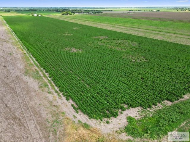 18.34 Fm 2556, Santa Rosa, TX 78593 - photo 8