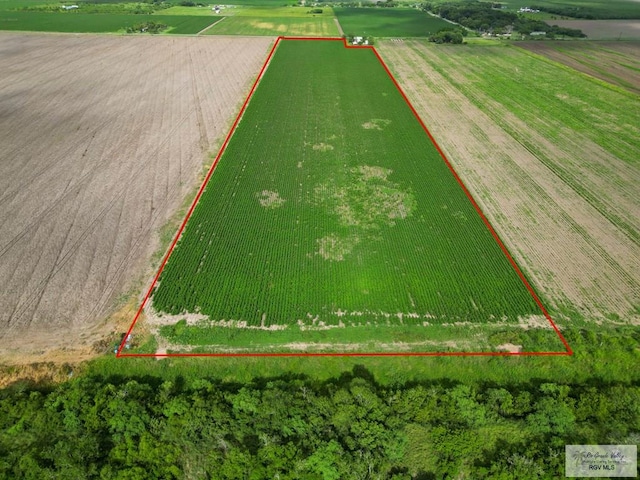 18.34 Fm 2556, Santa Rosa, TX 78593 - photo 6