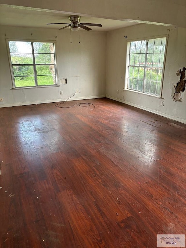 821 Virginia Ave, La Feria, TX 78559 - spare room with wood-type flooring, ceiling fan, and plenty of natural light