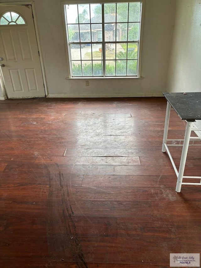 821 Virginia Ave, La Feria, TX 78559 - entrance foyer featuring wood-type flooring and plenty of natural light