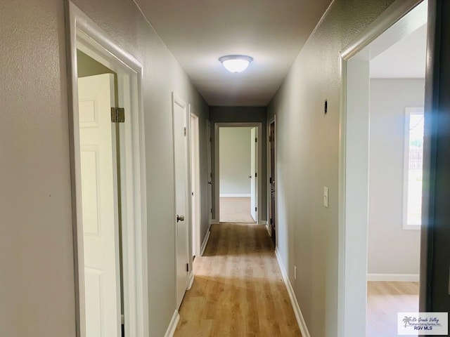 1218 S 16th St, Harlingen, TX 78550 - hallway featuring light wood-type flooring and plenty of natural light