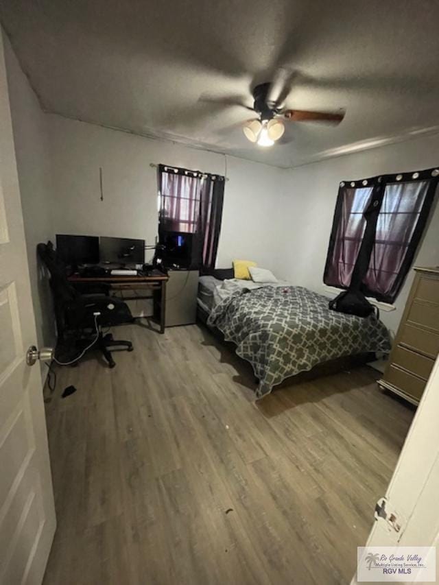 595 Mango Ln, Brownsville, TX 78521 - photo 8