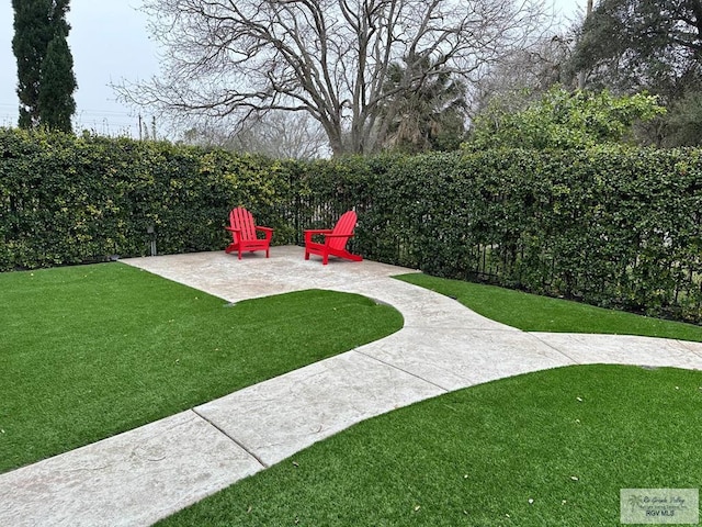 view of yard featuring a patio area and a fenced backyard