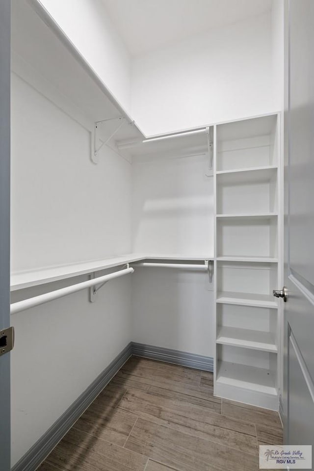 walk in closet featuring wood-type flooring