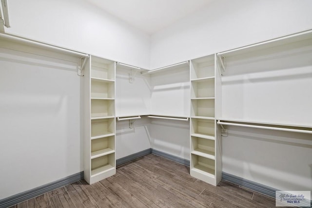 spacious closet featuring wood-type flooring