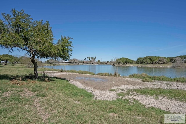 289 Dorris Rd, Brownsville, TX 78526 - photo 43