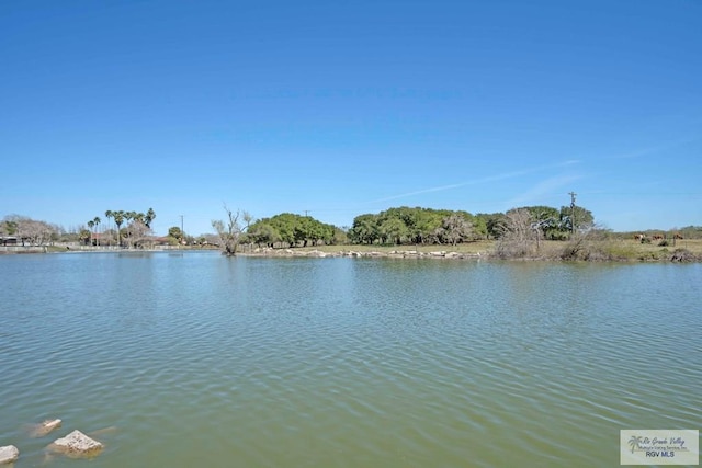 289 Dorris Rd, Brownsville, TX 78526 - photo 41