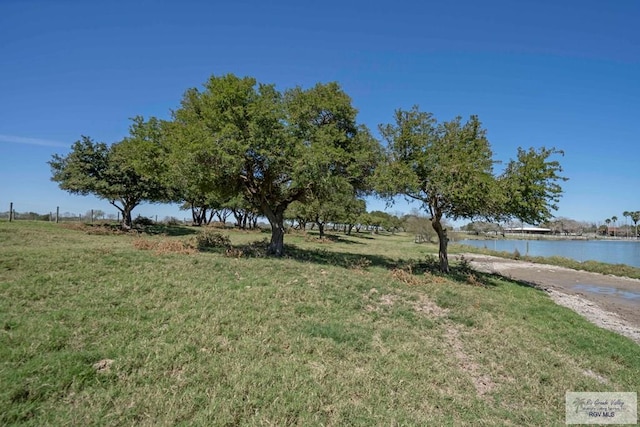289 Dorris Rd, Brownsville, TX 78526 - photo 42