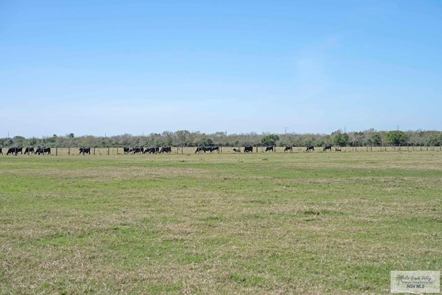 289 Dorris Rd, Brownsville, TX 78526 - photo 36
