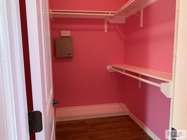 walk in closet with hardwood / wood-style flooring