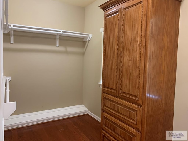 spacious closet with dark wood-type flooring