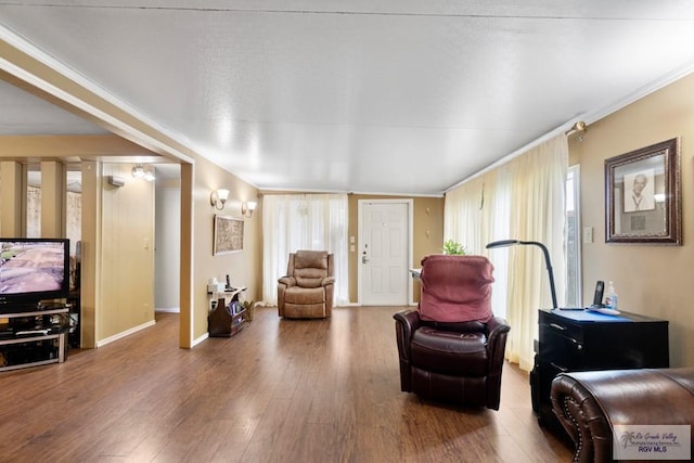 413 Cooper Ln Unit 24, 25, 26, La Feria, TX 78559 - living area featuring wood finished floors and ornamental molding